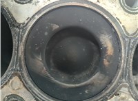 0135RG Блок цилиндров (Шорт блок) Citroen C3 2009-2016 21357163 #10