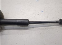  Амортизатор капота Ford Mustang 2005-2009 21358625 #3