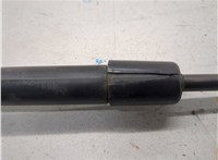  Амортизатор капота Ford Mustang 2005-2009 21358627 #2