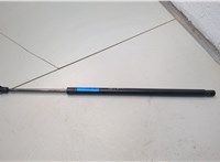 55113748AA Амортизатор капота Dodge Durango 2010-2013 21359076 #1