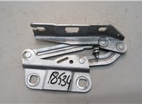 A2518800428 Петля капота Mercedes GL X164 2006-2012 21359550 #1