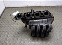  Коллектор впускной Volkswagen Golf 4 1997-2006 21359684 #3