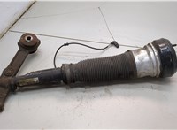 A2203205113, A2203202438 Амортизатор подвески Mercedes S W220 1998-2006 21364907 #1