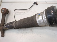 A2203205113, A2203202438 Амортизатор подвески Mercedes S W220 1998-2006 21364907 #2