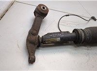 A2203205113, A2203202438 Амортизатор подвески Mercedes S W220 1998-2006 21364907 #3