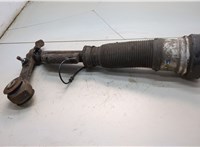 A2203205113, A2203202438 Амортизатор подвески Mercedes S W220 1998-2006 21364907 #7
