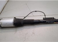 A2203205113, A2203202438 Амортизатор подвески Mercedes S W220 1998-2006 21364907 #8