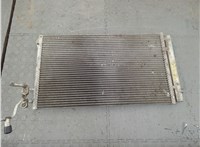  Радиатор кондиционера BMW X1 (E84) 2009-2015 21370399 #1