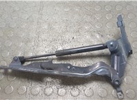 30784935 Амортизатор капота Volvo XC60 2008-2017 11919839 #1