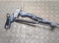 31385815 Петля капота Volvo XC60 2008-2017 21378491 #4