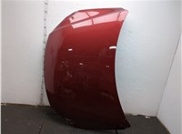 5N0823031D Капот Volkswagen Tiguan 2011-2018 21380399 #1