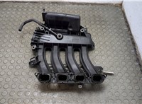  Коллектор впускной Renault Scenic 2003-2009 21380959 #3