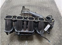  Коллектор впускной Mazda 6 (GG) 2002-2007 21381342 #1