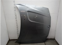  Капот BMW X3 E83 2003-2010 21384062 #1