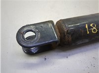 20864724 Амортизатор подвески Hummer H3 21384780 #3