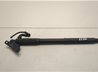 51247332695, 4887651, 7332695 Амортизатор крышки багажника BMW X5 E70 2006-2013 21385110 #3