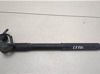 51247332696, 4887652, 7332696 Амортизатор крышки багажника BMW X5 E70 2006-2013 21385113 #3