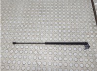 5344050070 Амортизатор капота Lexus LS460 2006-2017 21385509 #2