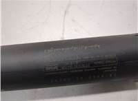 905605NA0A Амортизатор крышки багажника Infiniti QX50 2017-2025 21386951 #2