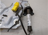 41009629174, 9629174 Петля капота BMW X1 U11, U12 2022-2025 21404632 #3