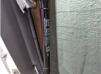  Накладка под номер (бленда) Chevrolet Captiva 2006-2011 11934195 #14