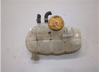 1304611, 13160252 Бачок расширительный Opel Meriva 2003-2010 22097410 #1