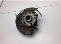 1K0407621F, 3C0407254F, 1K0615312F Ступица (кулак, цапфа) Volkswagen Passat 6 2005-2010 21424283 #1