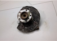 31216765157, 31216793924, 6793924, 6765157 Ступица (кулак, цапфа) BMW 3 E90, E91, E92, E93 2005-2012 21424446 #1