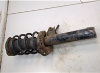 3C0413031AT, JZW413031A, JZW498031A Амортизатор подвески Volkswagen Passat 6 2005-2010 22129843 #3