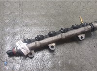 0281002800 Рампа (рейка) топливная Renault Koleos 2008-2016 21430360 #1