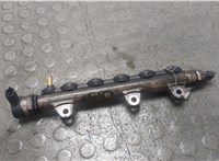 0281002800 Рампа (рейка) топливная Renault Koleos 2008-2016 21430360 #5