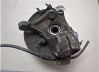 1K0407621F, 3C0407254F, 1K0615312F Ступица (кулак, цапфа) Volkswagen Passat 6 2005-2010 21432584 #1