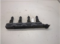  Катушка зажигания Opel Corsa C 2000-2006 21436999 #1