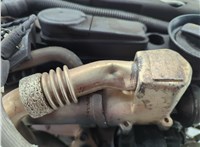 03G903016G, 03G903016GX, 03G903016EX Генератор Audi Q5 2008-2017 11955862 #13