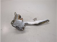534200C020 Петля капота Toyota Tundra 2007-2013 21447163 #1