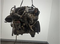 11944EB31A Натяжитель приводного ремня Nissan Pathfinder 2004-2014 11961434 #3