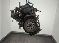 11944EB31A Натяжитель приводного ремня Nissan Pathfinder 2004-2014 11961434 #5