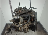 11944EB31A Натяжитель приводного ремня Nissan Pathfinder 2004-2014 11961434 #8