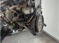 11944EB31A Натяжитель приводного ремня Nissan Pathfinder 2004-2014 11961434 #10
