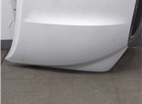 533010C040 Капот Toyota Tundra 2007-2013 21451745 #10