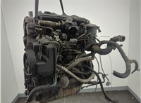  Натяжитель приводного ремня Peugeot Partner 2002-2008 11964239 #5