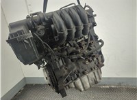  Натяжитель приводного ремня Citroen C4 2004-2010 11969052 #3