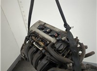 1662022012 Натяжитель приводного ремня Toyota Corolla E12 2001-2006 11969873 #9