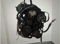  Натяжитель приводного ремня Peugeot 206 1998-2012 11970566 #1