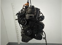  Натяжитель приводного ремня Volkswagen Polo 2005-2009 11975032 #1