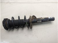 1K0413031BE, 1K0411105AK Амортизатор подвески Volkswagen Golf Plus 22034758 #1