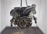 A1122000970 Натяжитель приводного ремня Mercedes E W210 1995-2003 11976350 #10