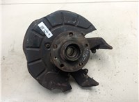 1K0407621E, 1K0407256T, 1K0615312F Ступица (кулак, цапфа) Volkswagen Golf Plus 22034799 #1