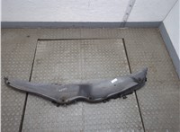 A2038300813 Жабо под дворники (дождевик) Mercedes C W203 2000-2008 22058597 #1