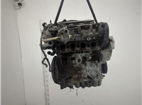  Натяжитель приводного ремня Volkswagen Touran 2003-2006 11976780 #5